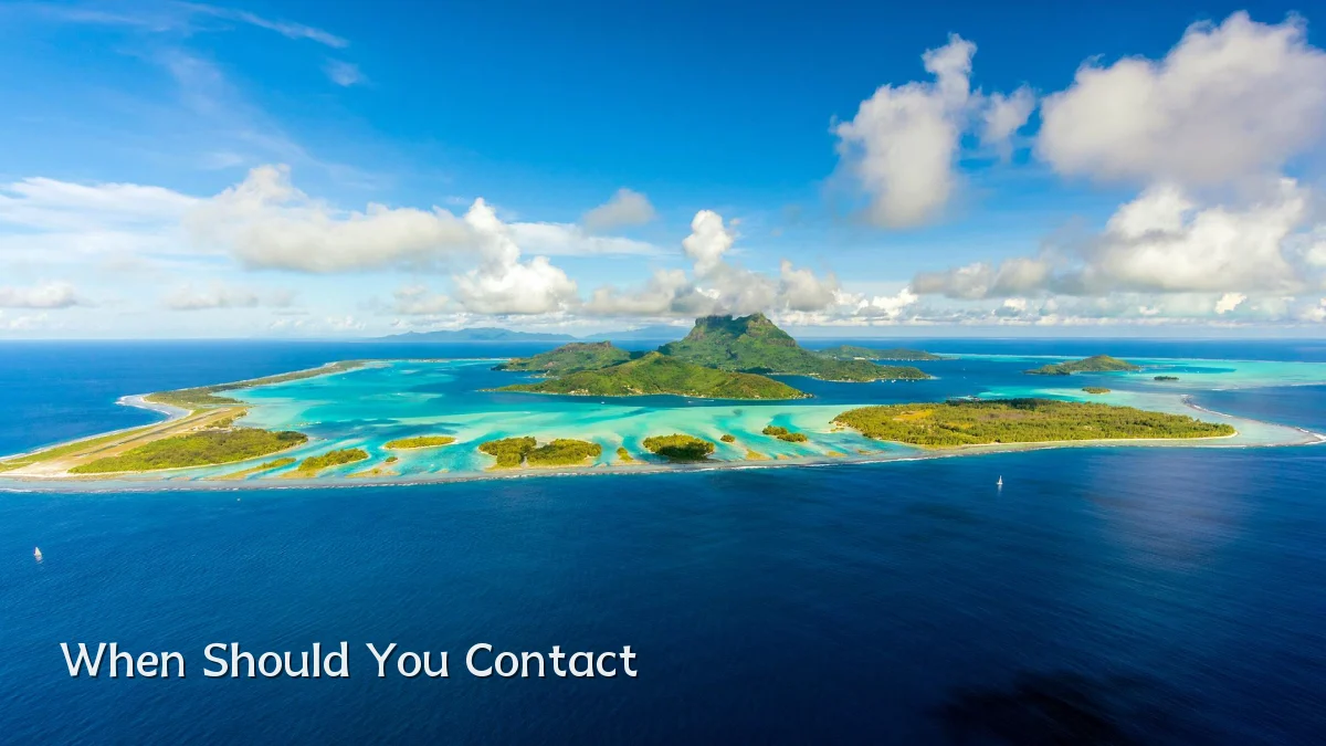 When Should You Contact