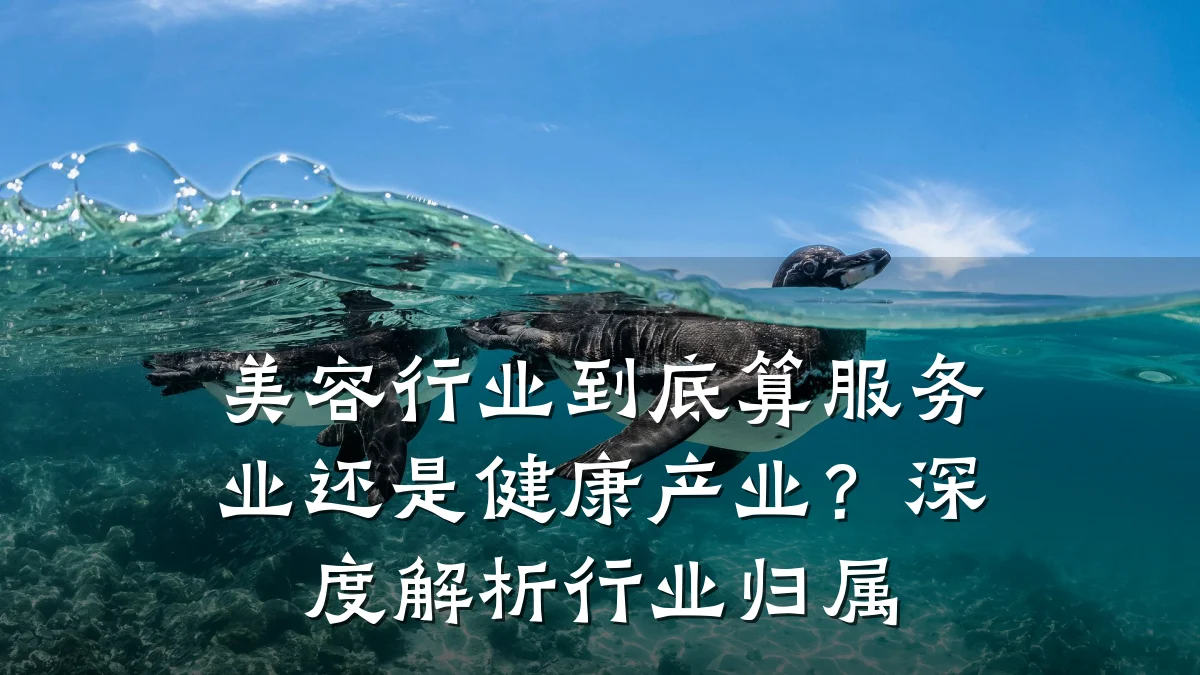 美容行业到底算服务业还是健康产业?深度解析行业归属