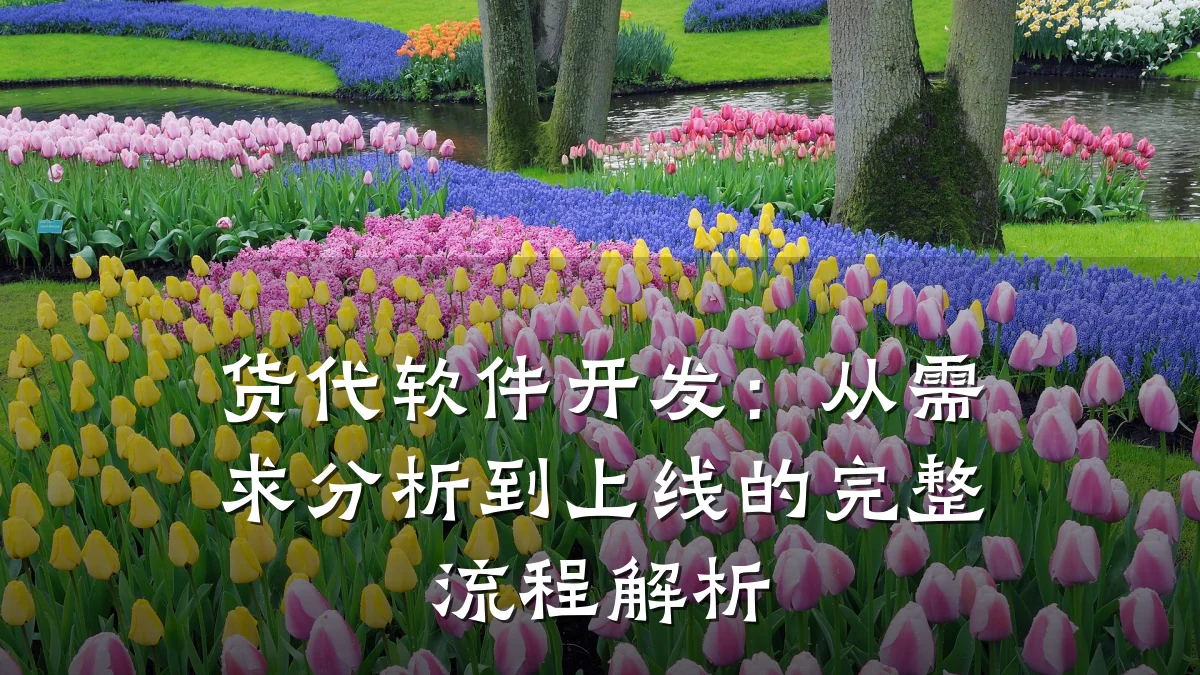 货代软件开发:从需求分析到上线的完整流程解析
