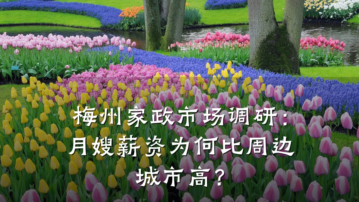 梅州家政市场调研:月嫂薪资为何比周边城市高?