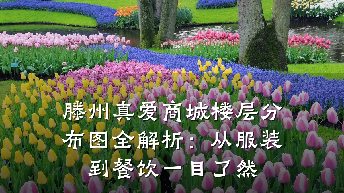 滕州真爱商城楼层分布图全解析：从服装到餐饮一目了然
