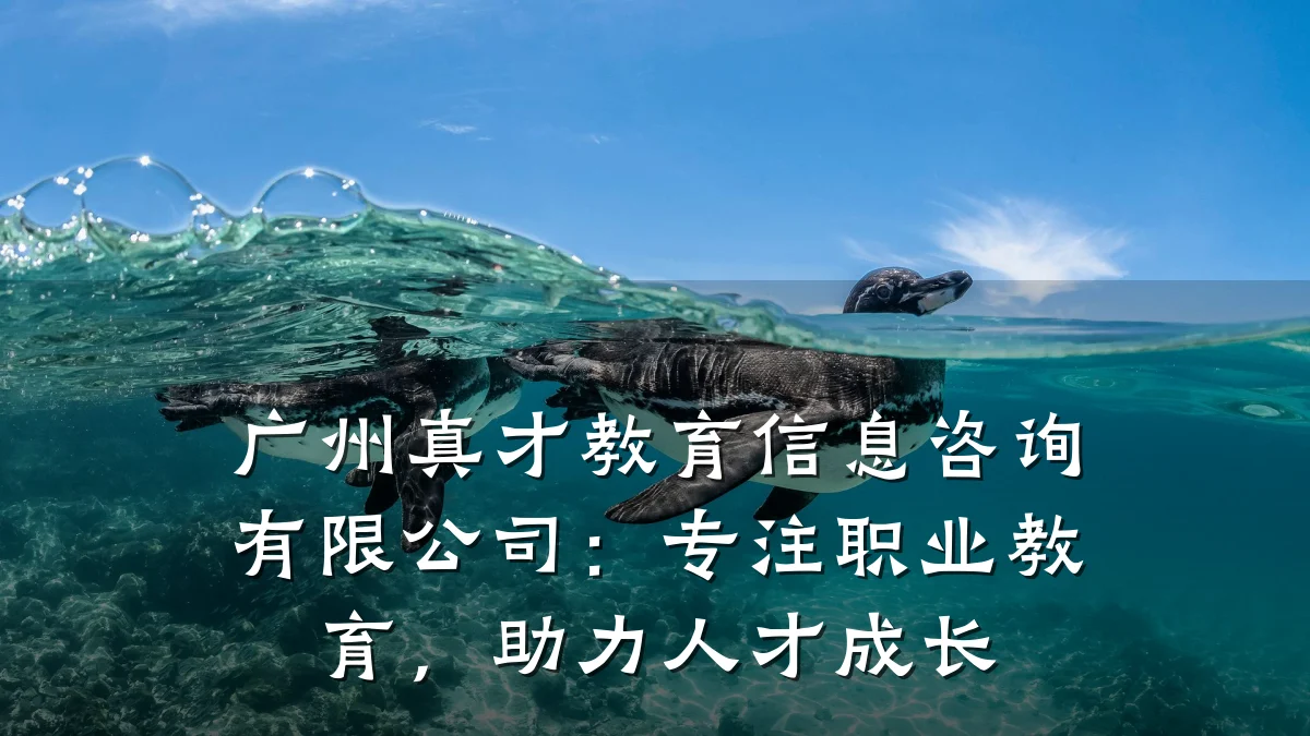 广州真才教育信息咨询有限公司：专注职业教育，助力人才成长
