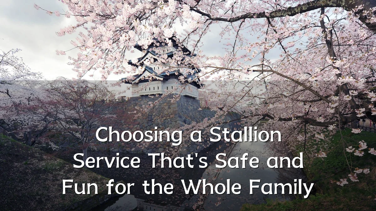 Choosing a Stallion Service That's Safe and Fun for the Whole Family