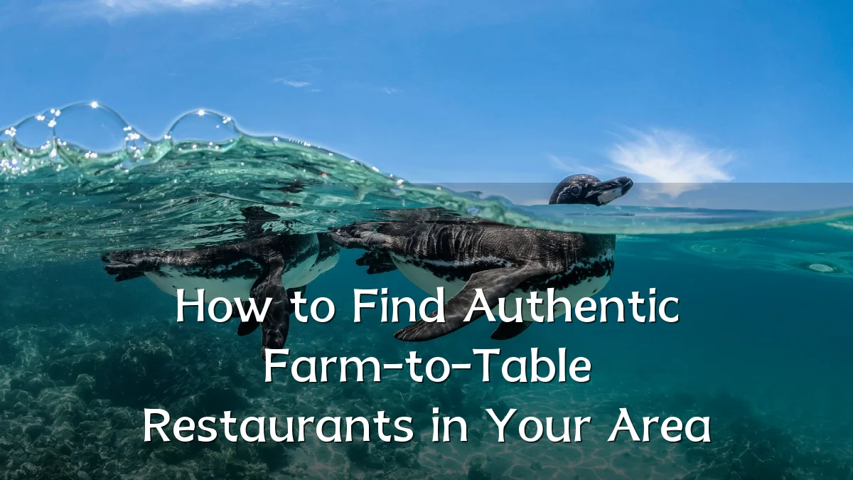 How to Find Authentic Farm-to-Table Restaurants in Your Area