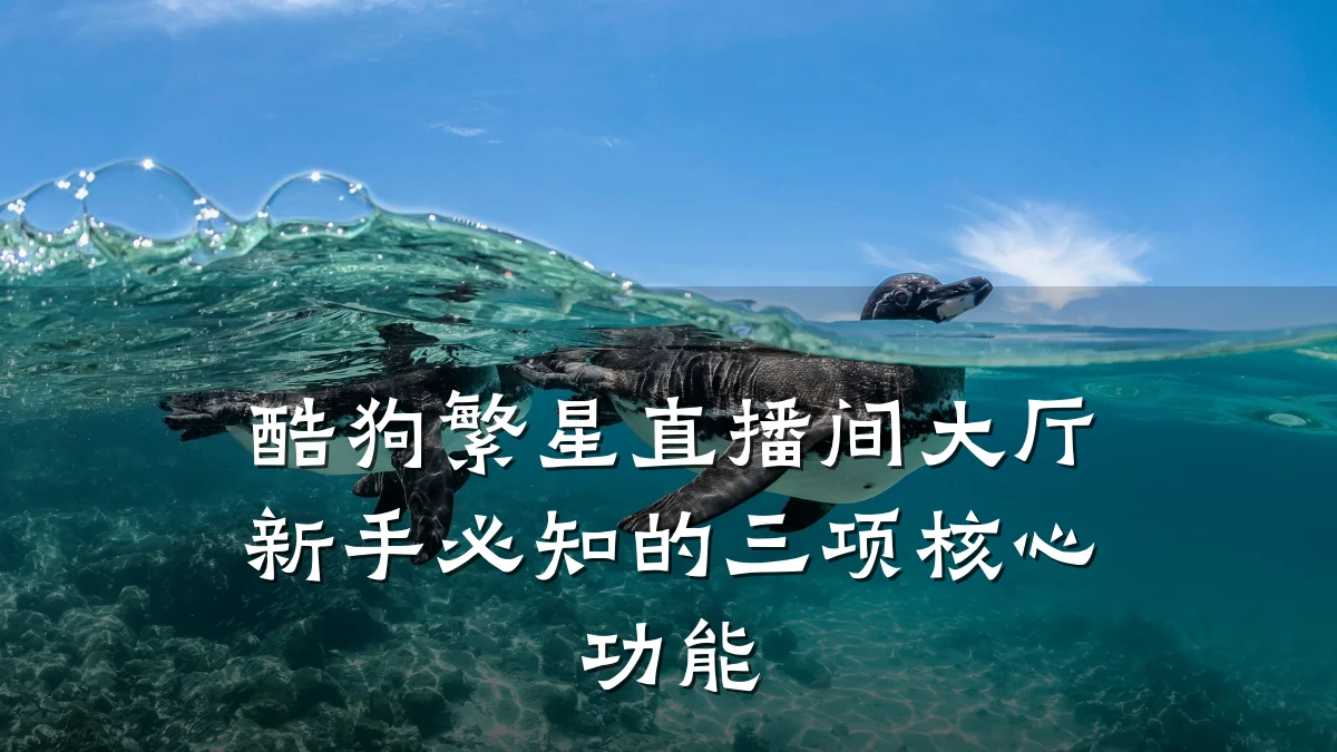 酷狗繁星直播间大厅新手必知的三项核心功能