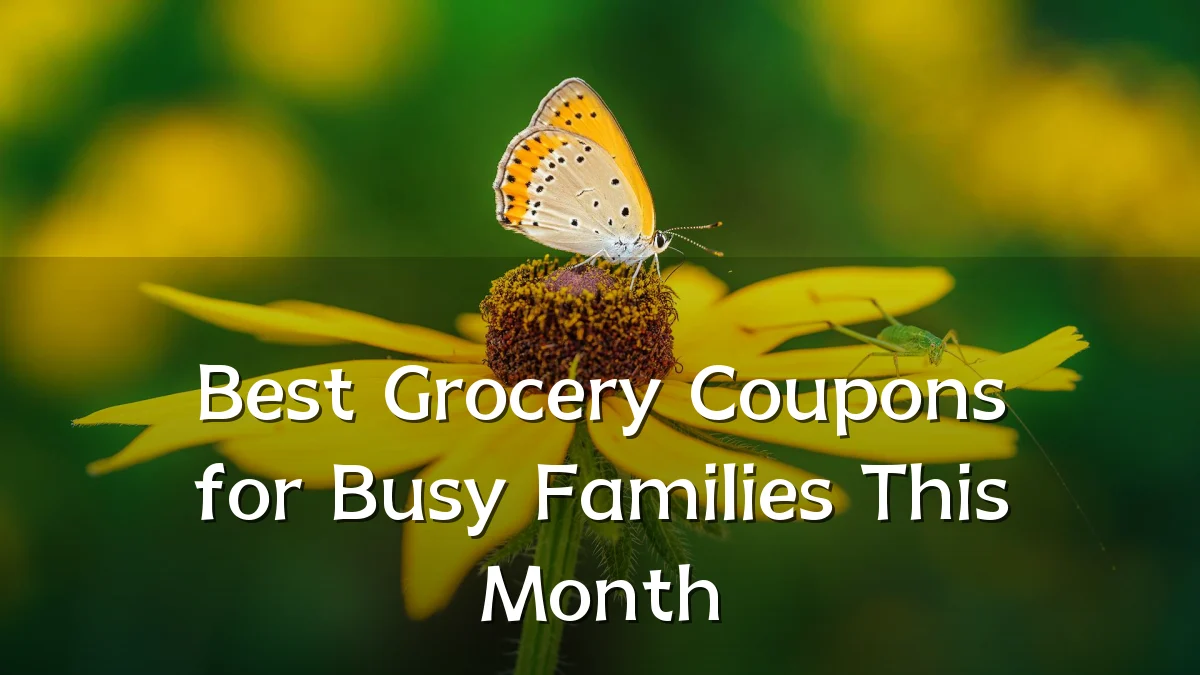 Best Grocery Coupons for Busy Families This Month