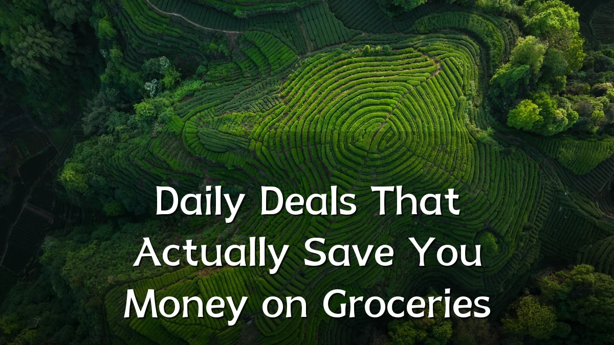 Daily Deals That Actually Save You Money on Groceries