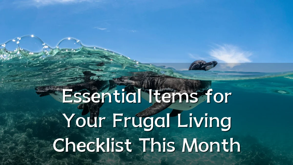 Essential Items for Your Frugal Living Checklist This Month
