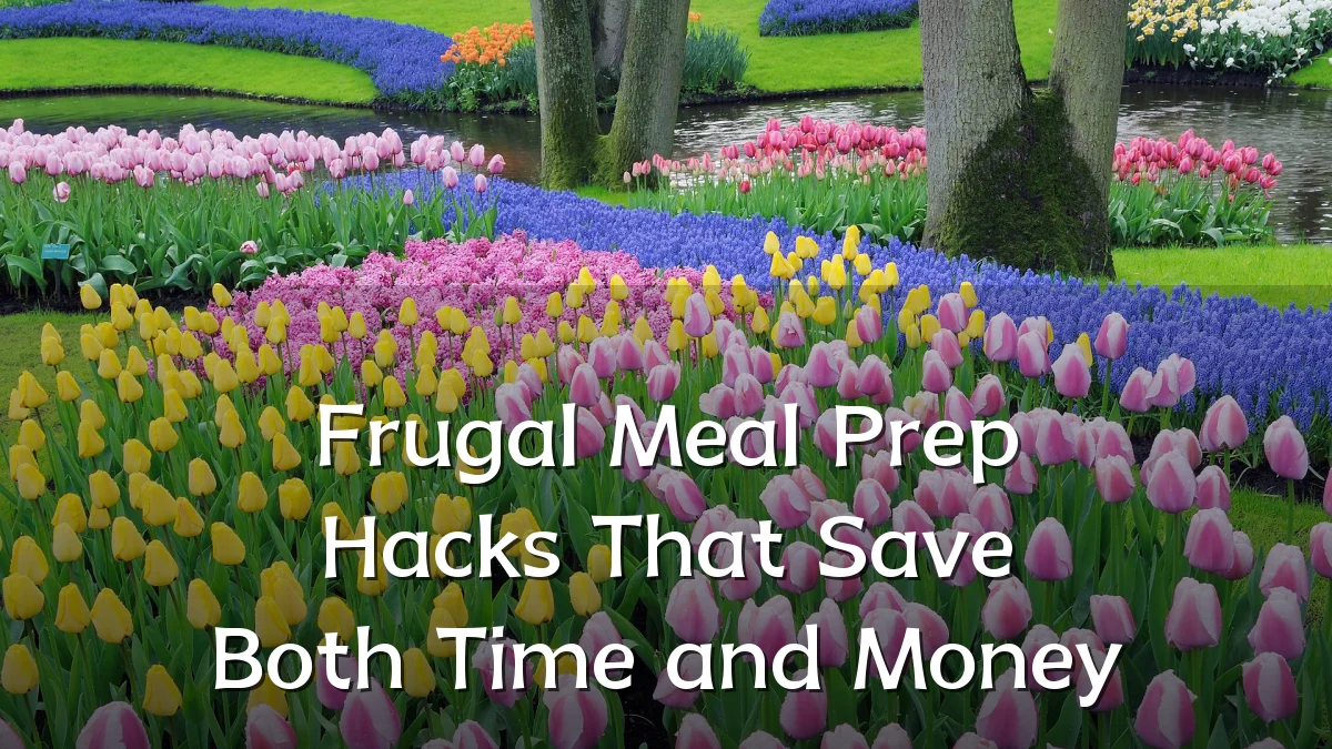 Frugal Meal Prep Hacks That Save Both Time and Money