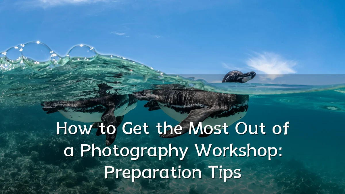 How to Get the Most Out of a Photography Workshop: Preparation Tips