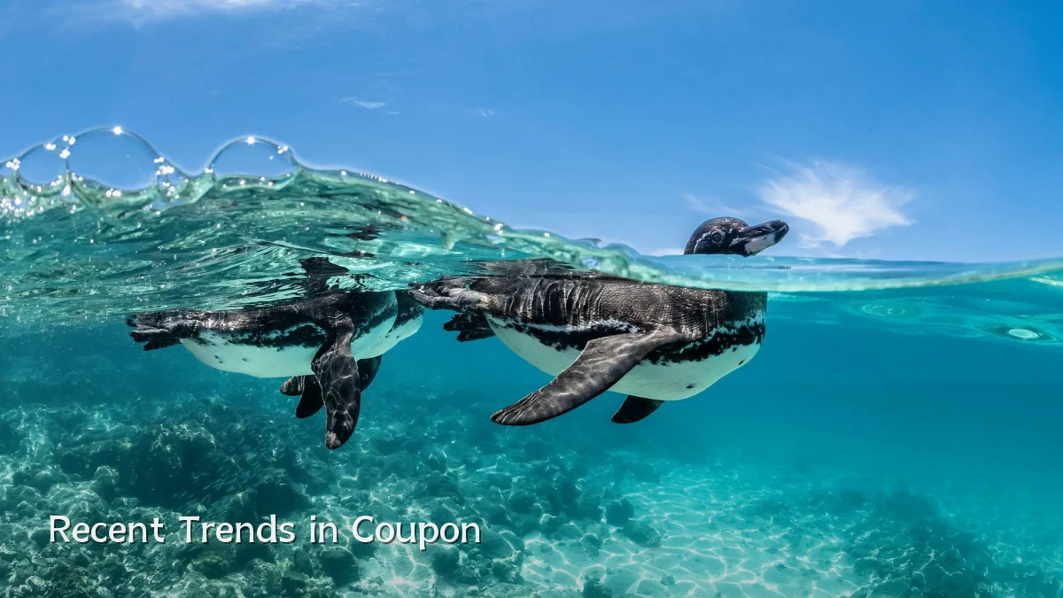Recent Trends in Coupon