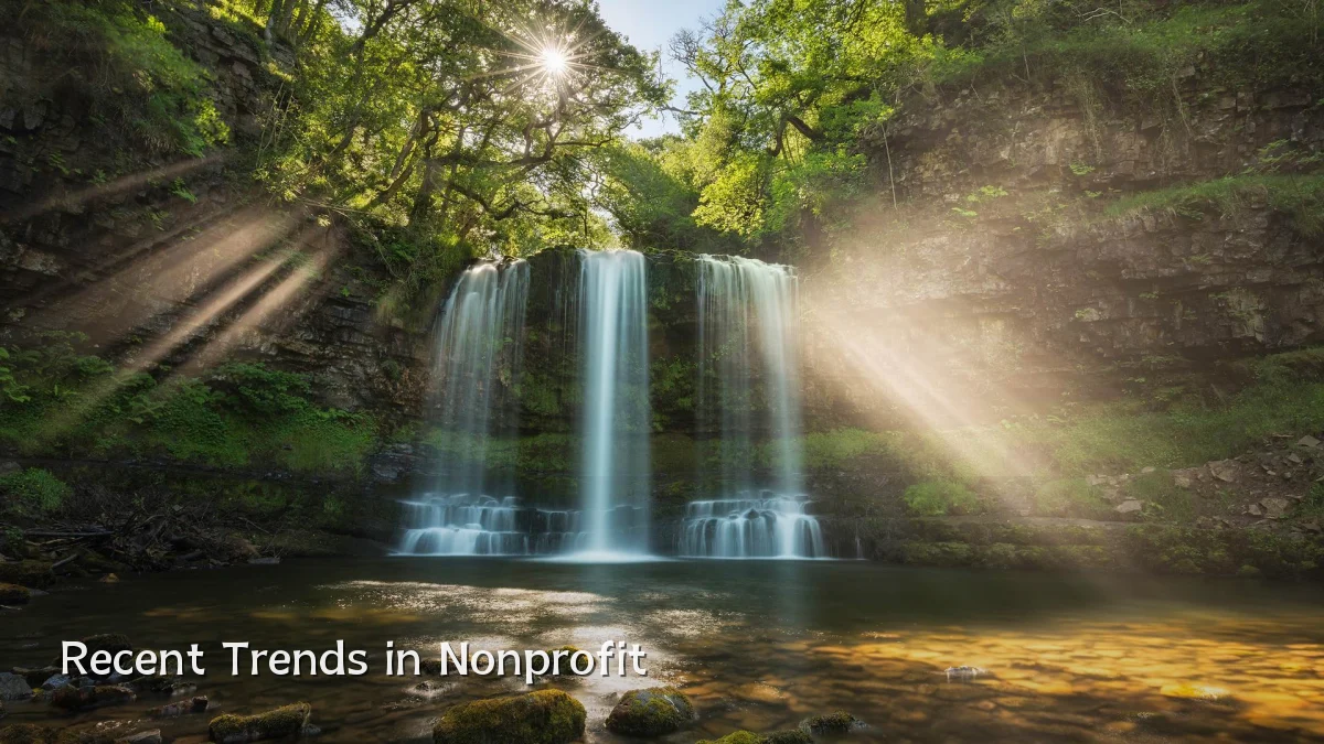 Recent Trends in Nonprofit