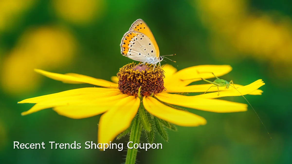 Recent Trends Shaping Coupon