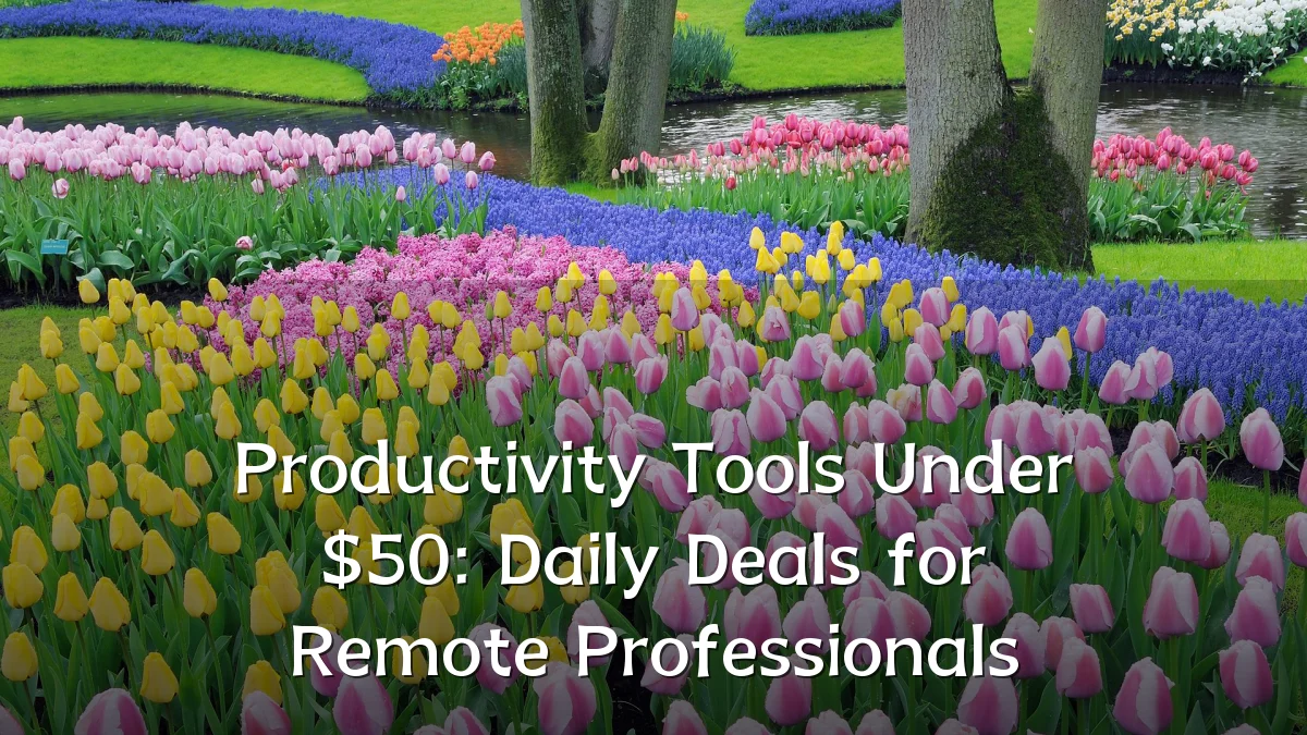 Productivity Tools Under $50: Daily Deals for Remote Professionals