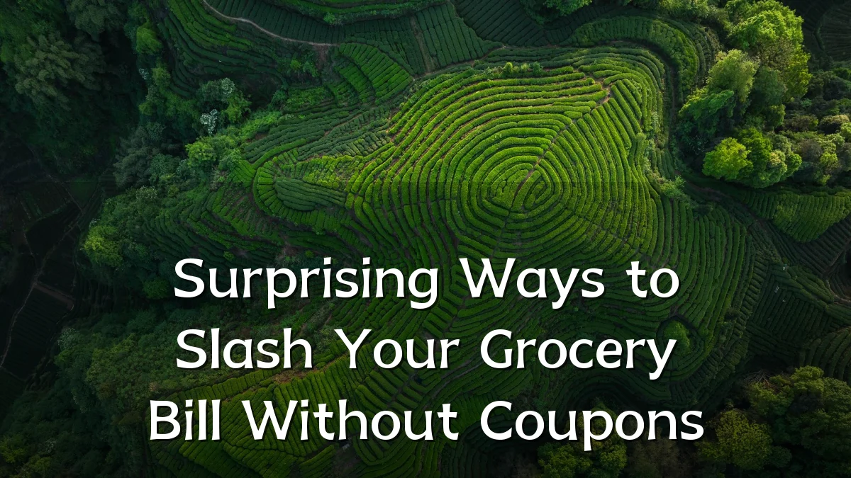 Surprising Ways to Slash Your Grocery Bill Without Coupons