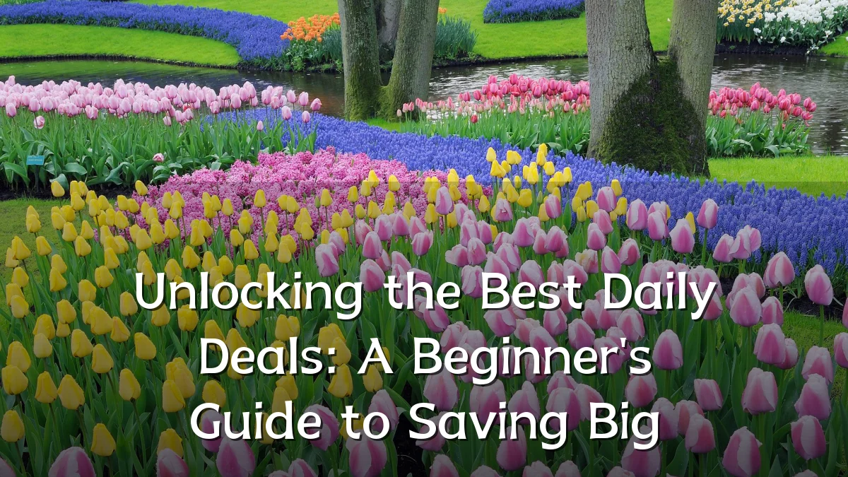 Unlocking the Best Daily Deals: A Beginner's Guide to Saving Big