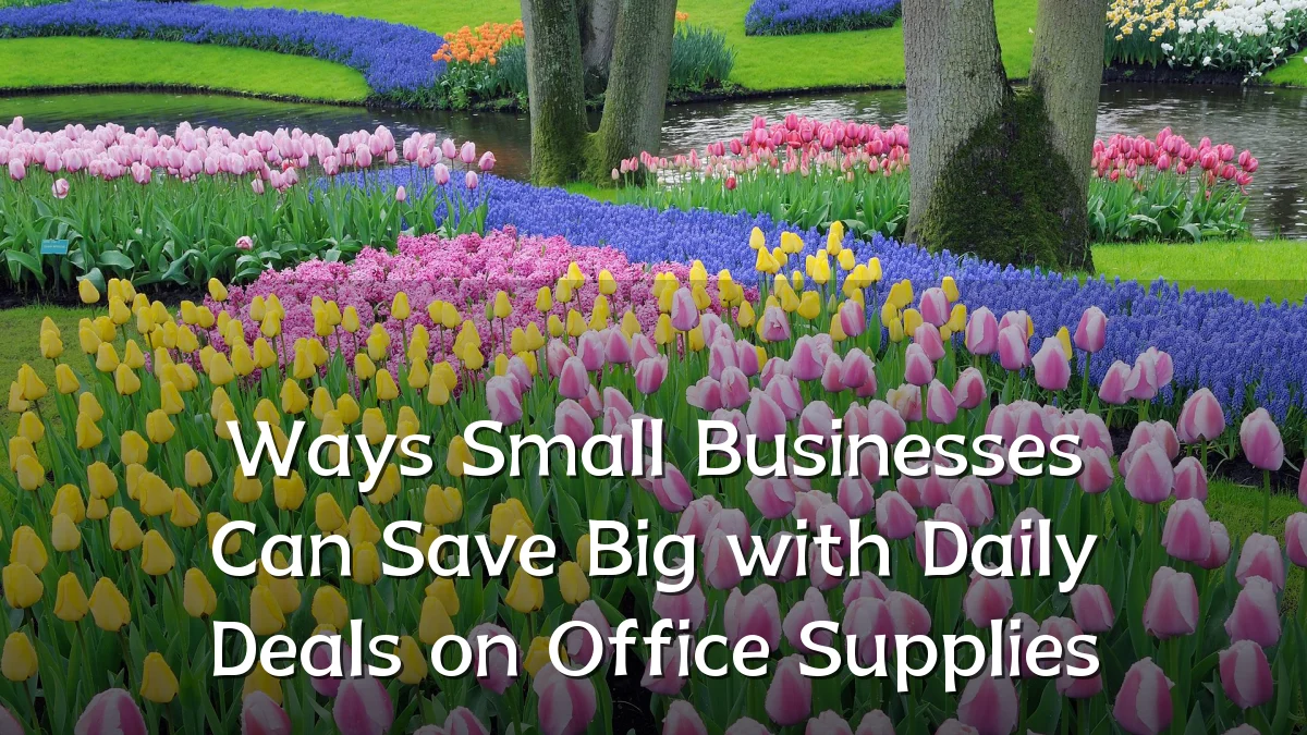 Ways Small Businesses Can Save Big with Daily Deals on Office Supplies
