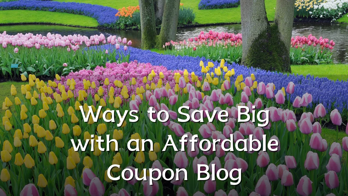 Ways to Save Big with an Affordable Coupon Blog