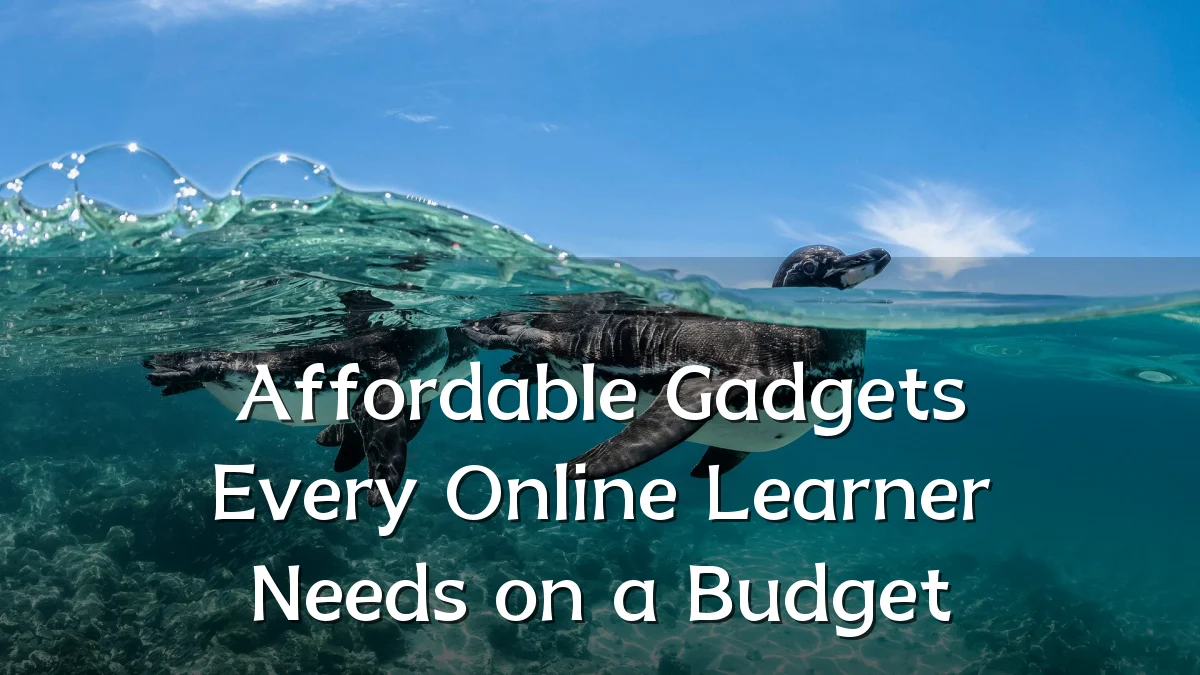 Affordable Gadgets Every Online Learner Needs on a Budget