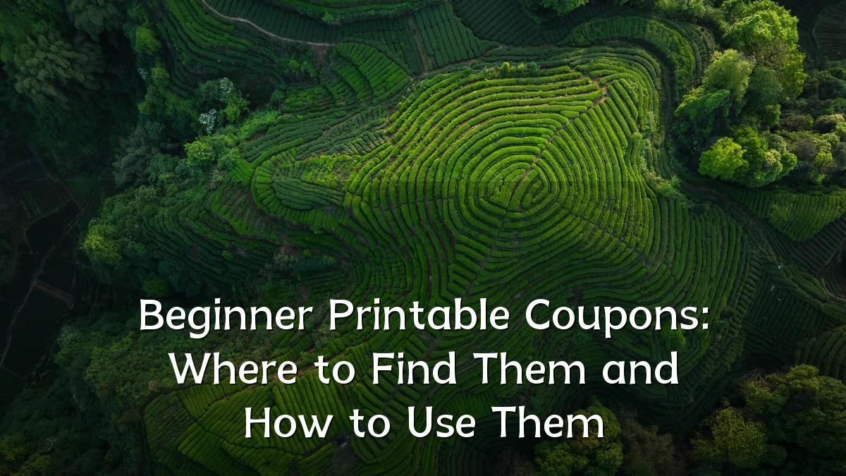 Beginner Printable Coupons: Where to Find Them and How to Use Them
