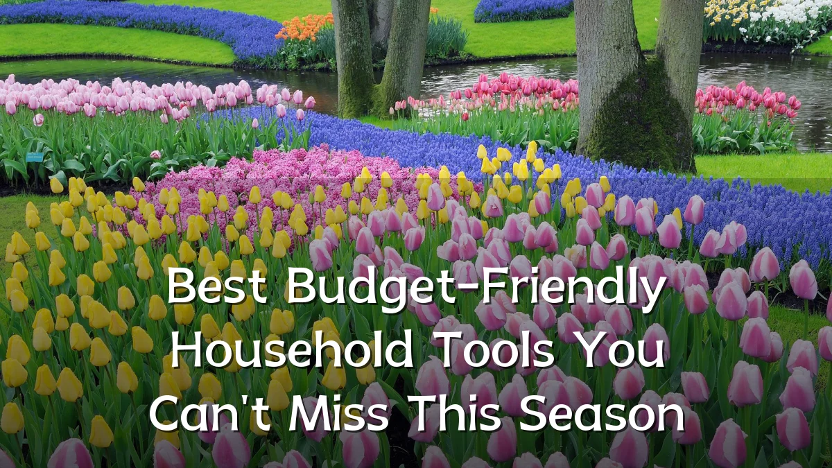Best Budget-Friendly Household Tools You Can't Miss This Season
