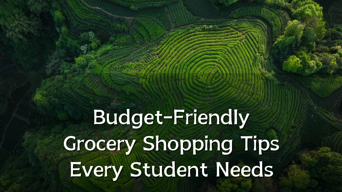 Budget-Friendly Grocery Shopping Tips Every Student Needs
