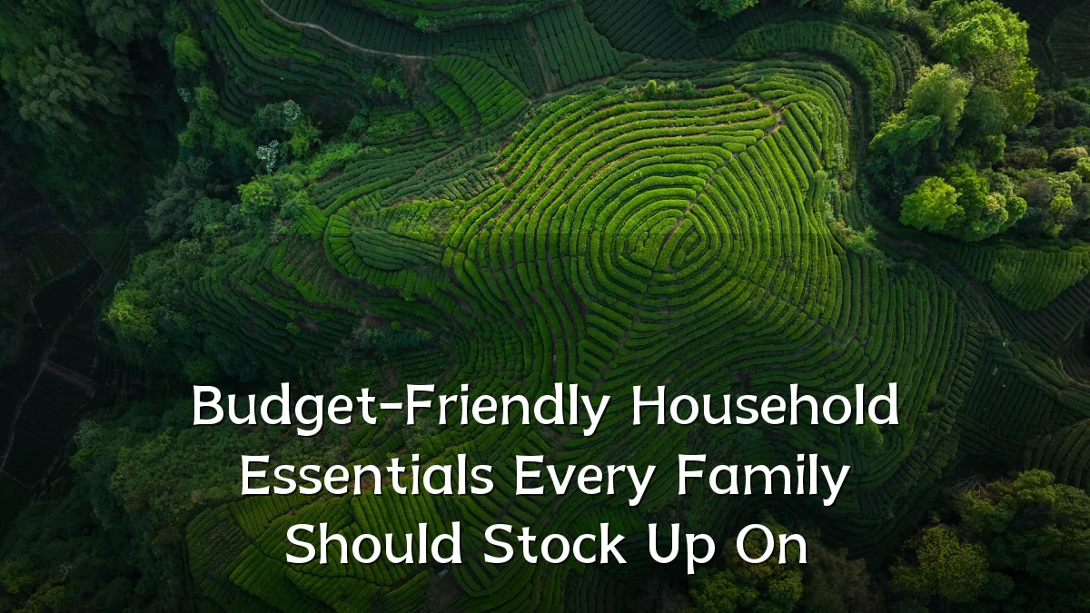 Budget-Friendly Household Essentials Every Family Should Stock Up On