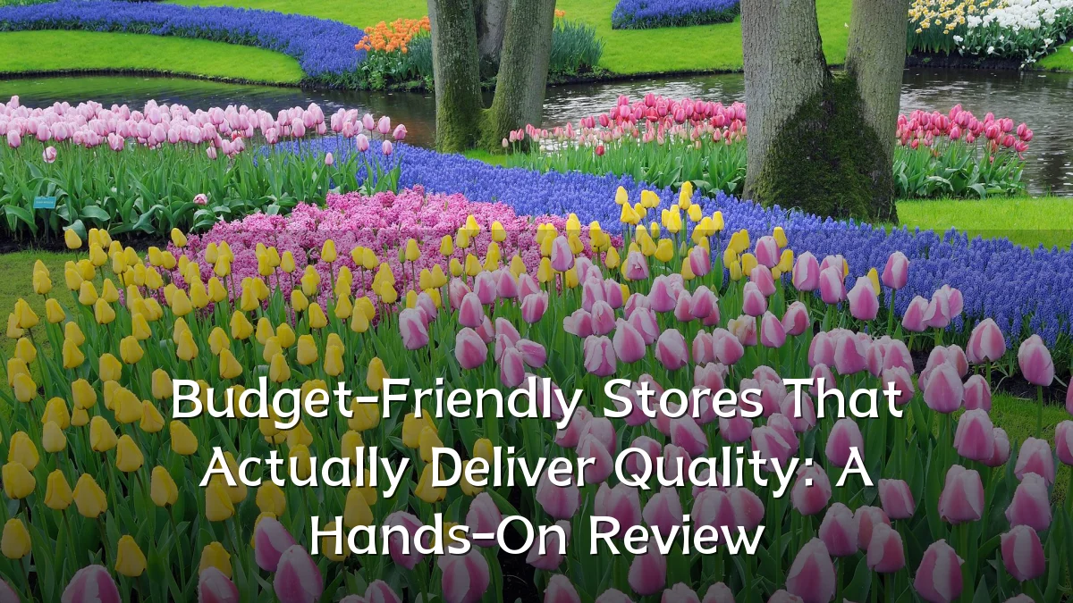 Budget-Friendly Stores That Actually Deliver Quality: A Hands-On Review