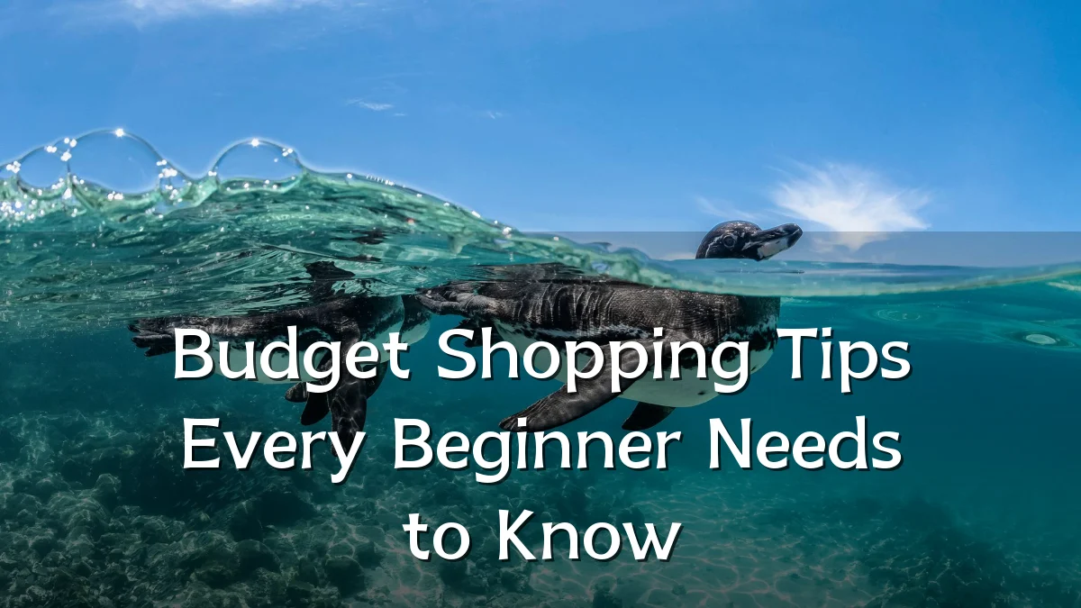 Budget Shopping Tips Every Beginner Needs to Know