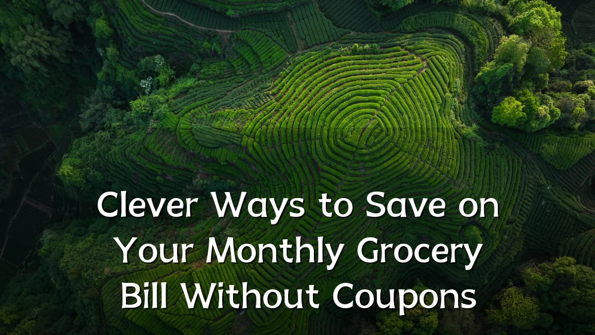 Clever Ways to Save on Your Monthly Grocery Bill Without Coupons
