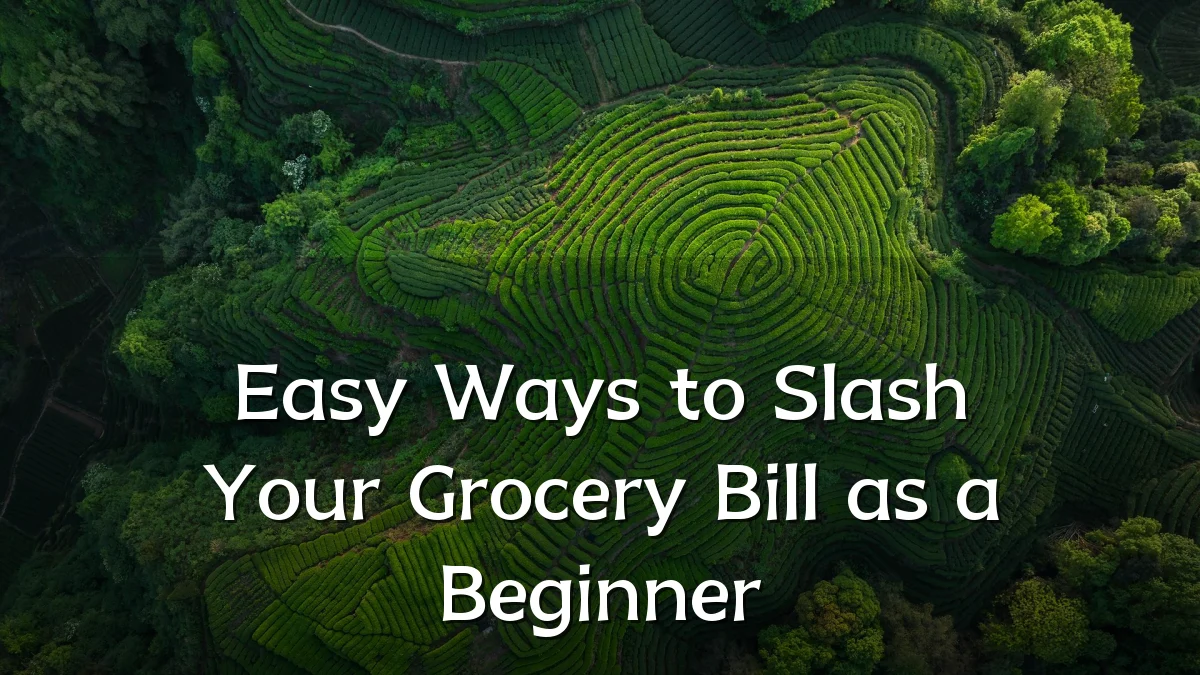 Easy Ways to Slash Your Grocery Bill as a Beginner