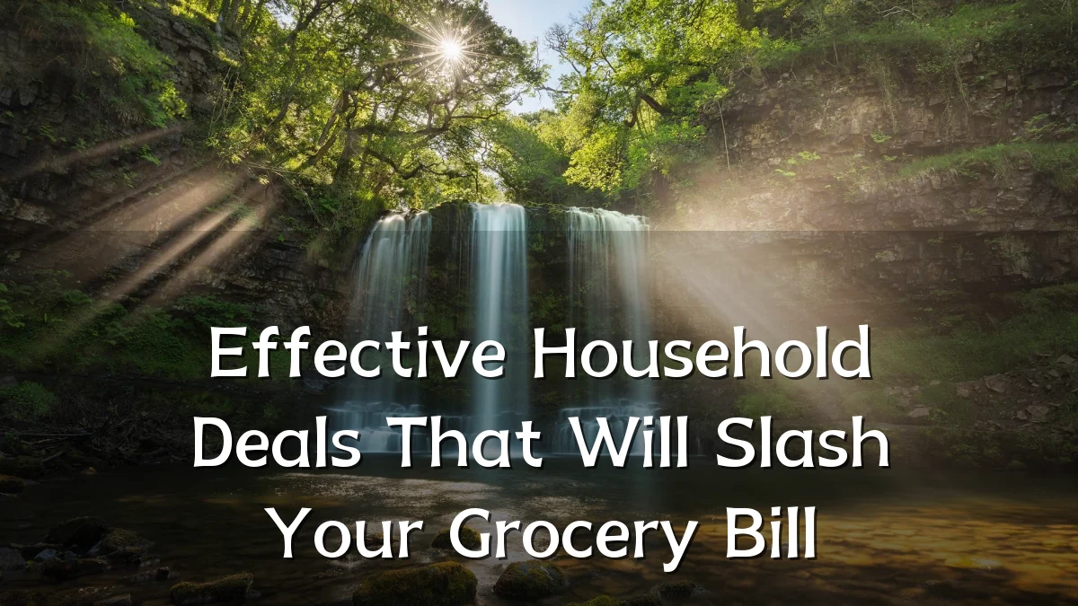 Effective Household Deals That Will Slash Your Grocery Bill
