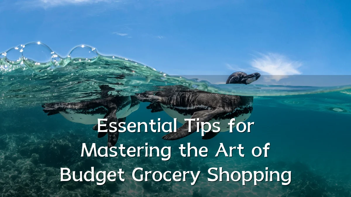 Essential Tips for Mastering the Art of Budget Grocery Shopping