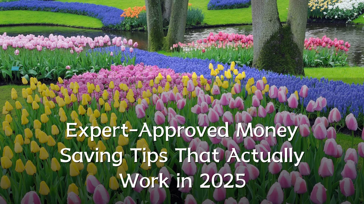 Expert-Approved Money Saving Tips That Actually Work in 2025