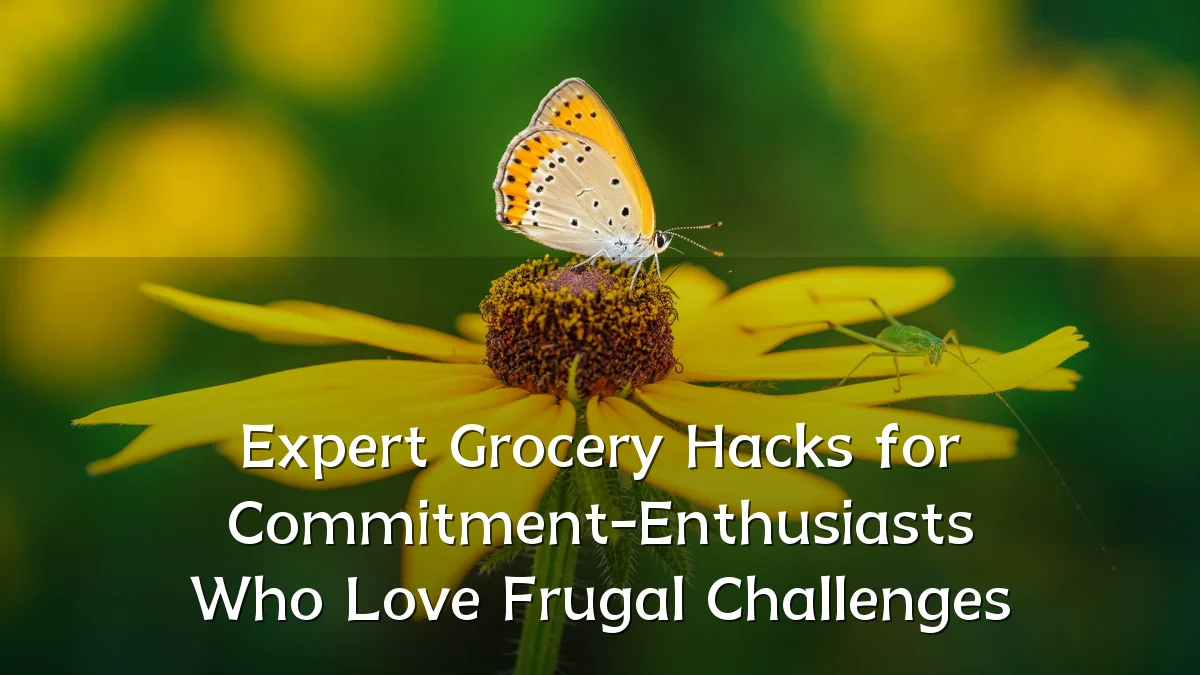 Expert Grocery Hacks for Commitment-Enthusiasts Who Love Frugal Challenges