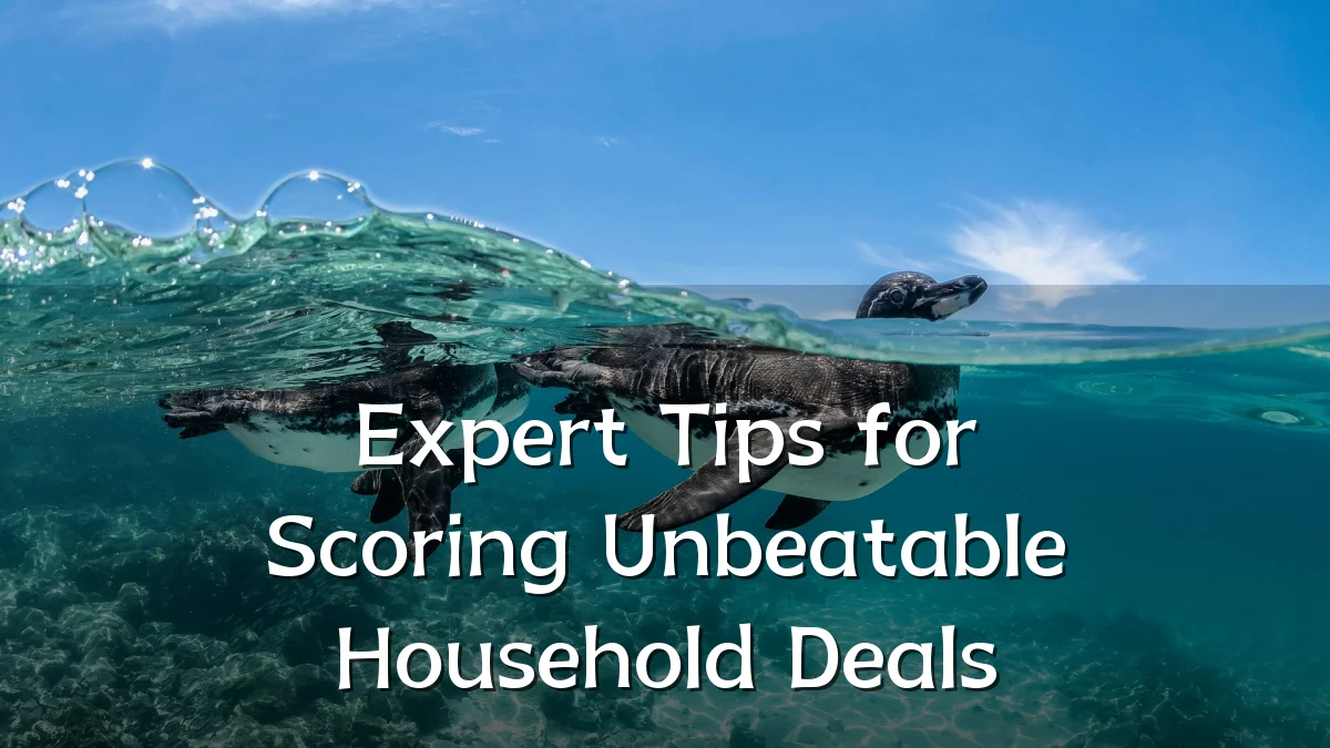 Expert Tips for Scoring Unbeatable Household Deals