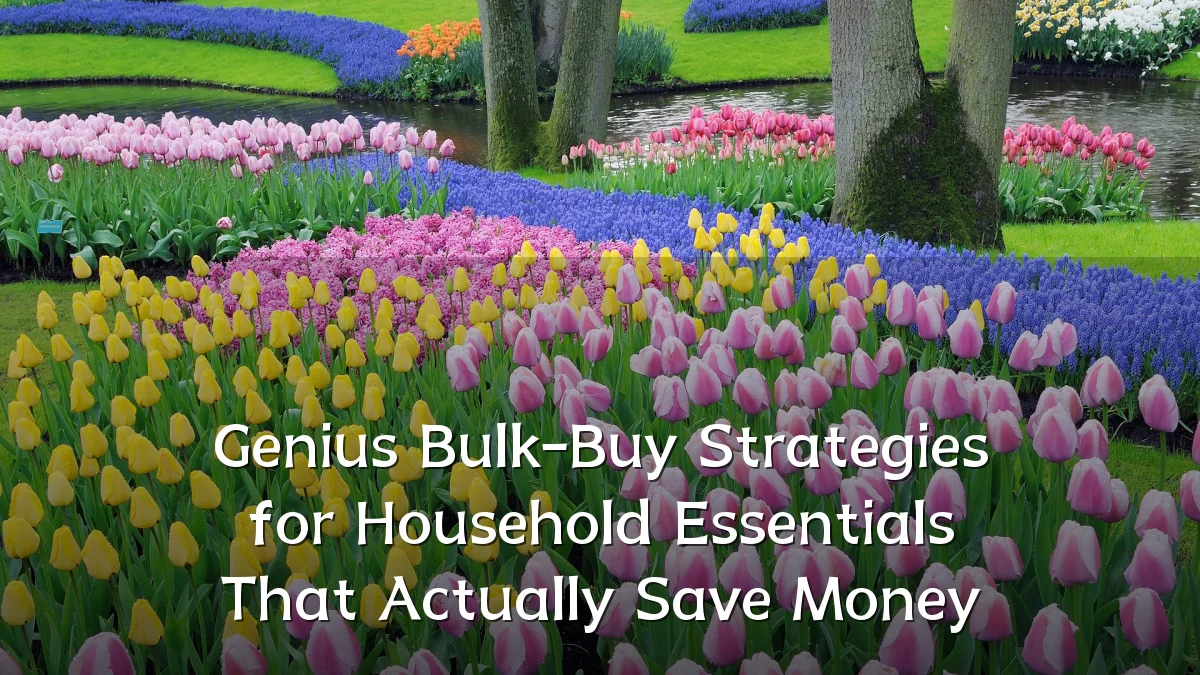 Genius Bulk-Buy Strategies for Household Essentials That Actually Save Money
