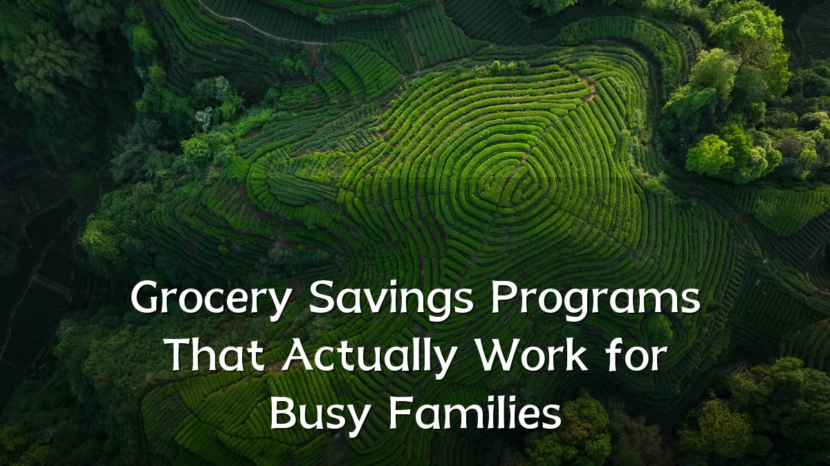 Grocery Savings Programs That Actually Work for Busy Families