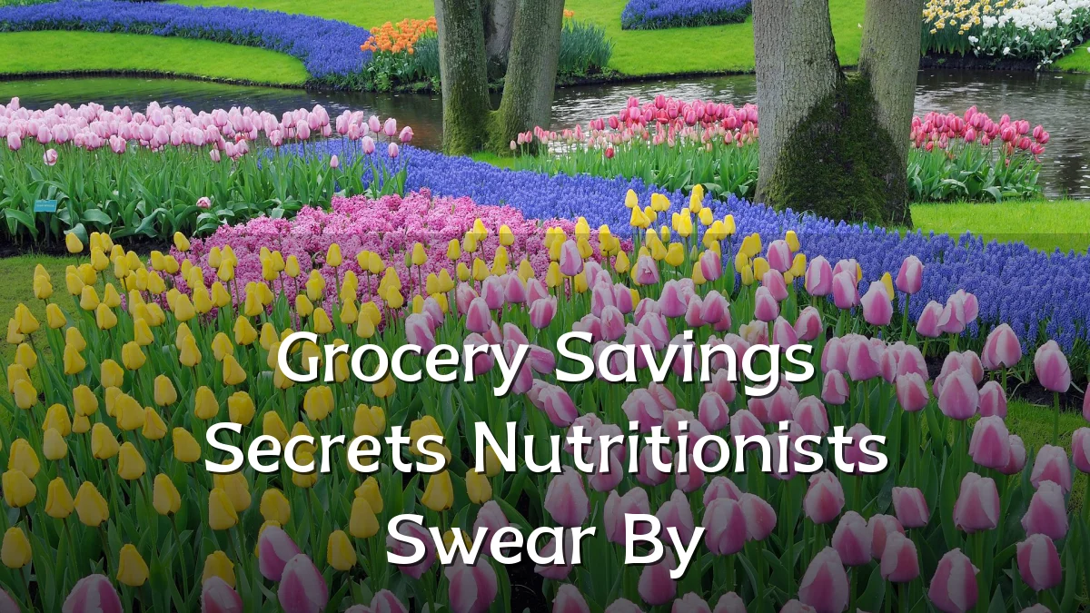 Grocery Savings Secrets Nutritionists Swear By