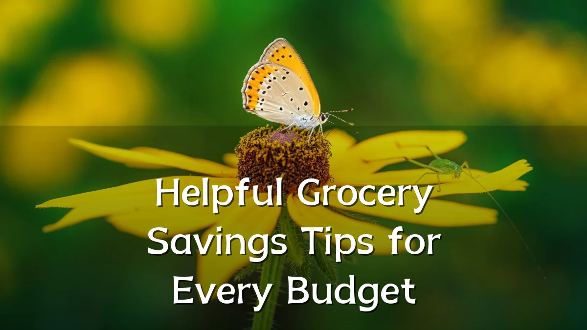 Helpful Grocery Savings Tips for Every Budget