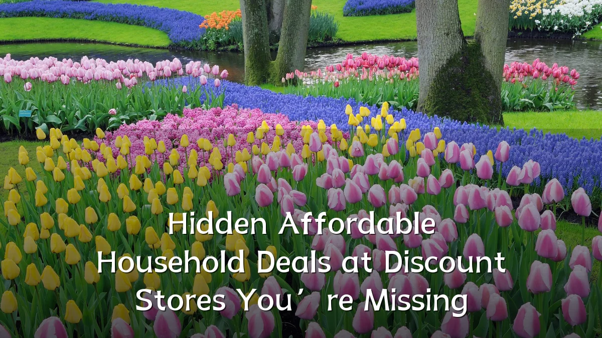 Hidden Affordable Household Deals at Discount Stores You’re Missing