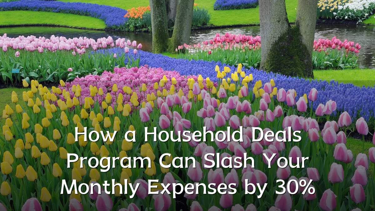 How a Household Deals Program Can Slash Your Monthly Expenses by 30%