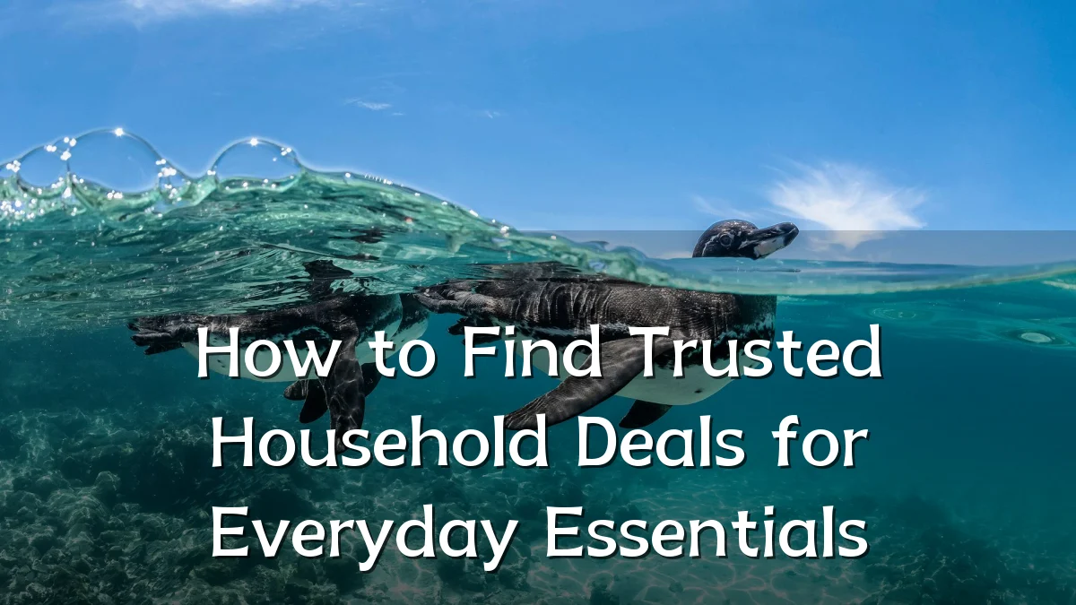 How to Find Trusted Household Deals for Everyday Essentials