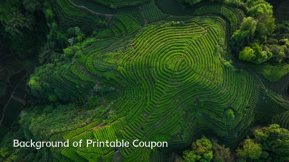 Background of Printable Coupon