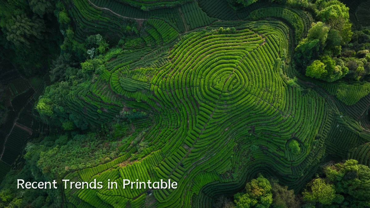Recent Trends in Printable