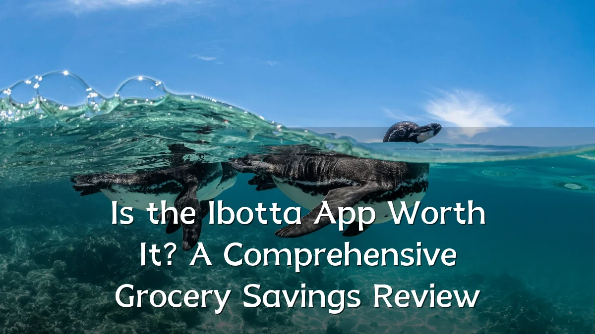 Is the Ibotta App Worth It? A Comprehensive Grocery Savings Review
