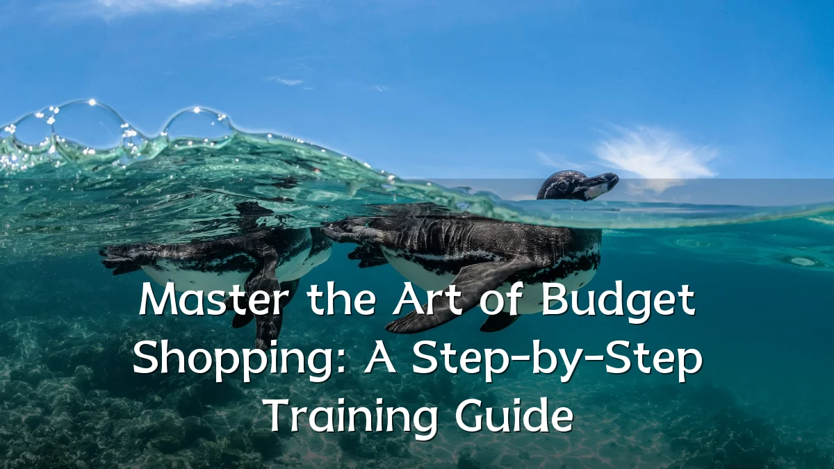 Master the Art of Budget Shopping: A Step-by-Step Training Guide
