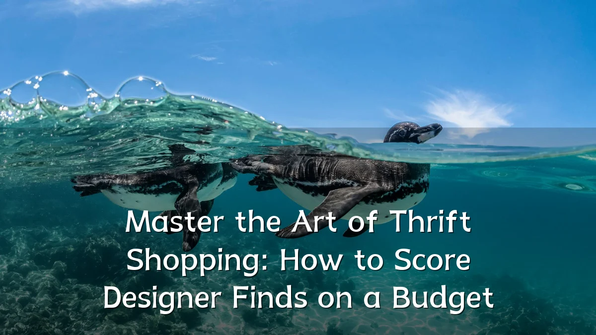 Master the Art of Thrift Shopping: How to Score Designer Finds on a Budget
