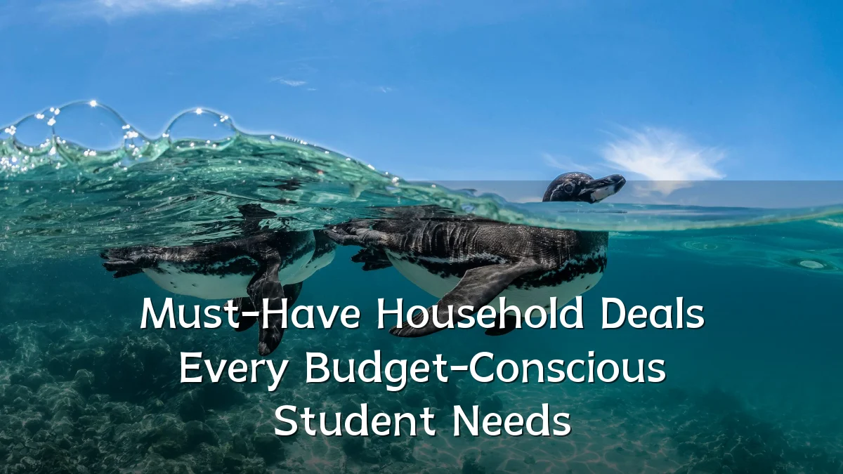 Must-Have Household Deals Every Budget-Conscious Student Needs