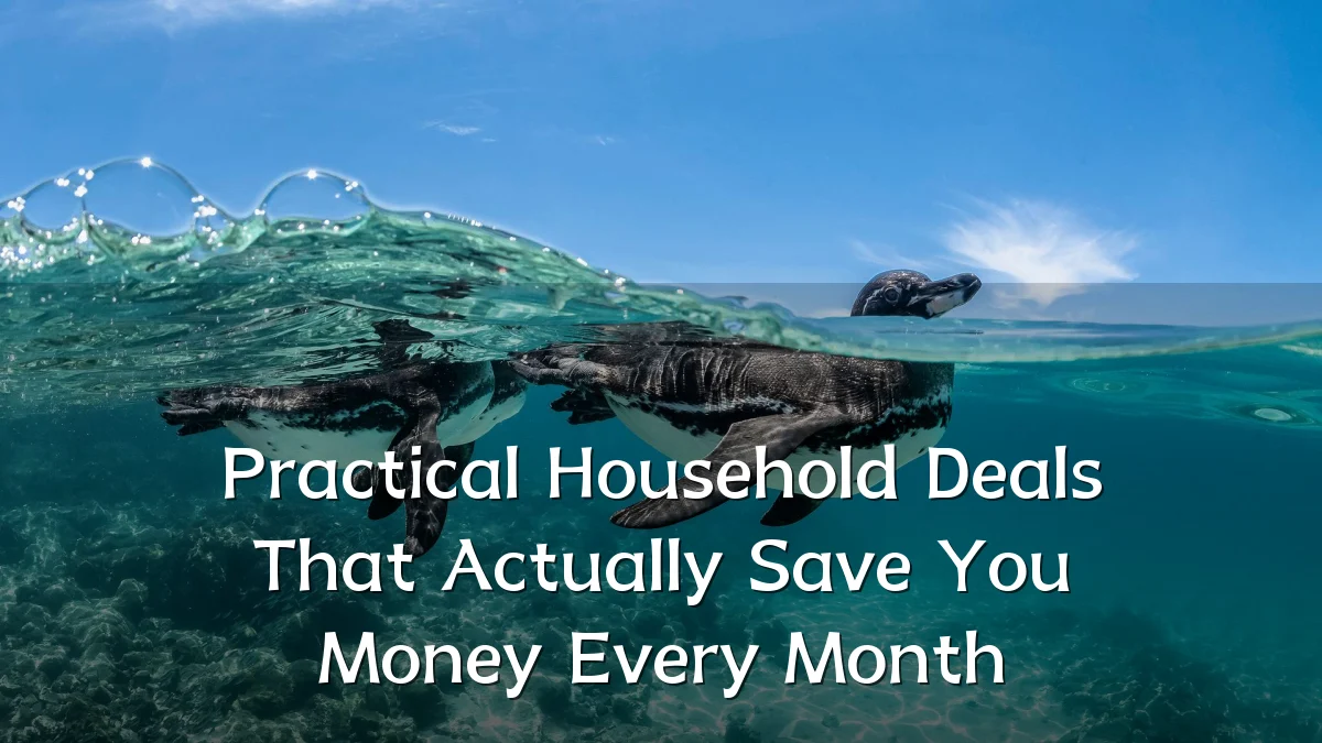 Practical Household Deals That Actually Save You Money Every Month